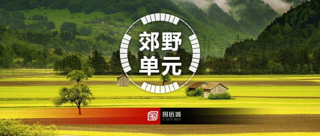 金华市、桐乡市郊野单元详细规划案例推荐 金华市、桐乡市郊野单元详细规划案例推荐