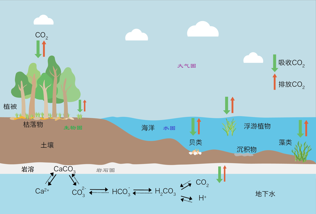生态系统碳汇监测的概念、方法及应用
