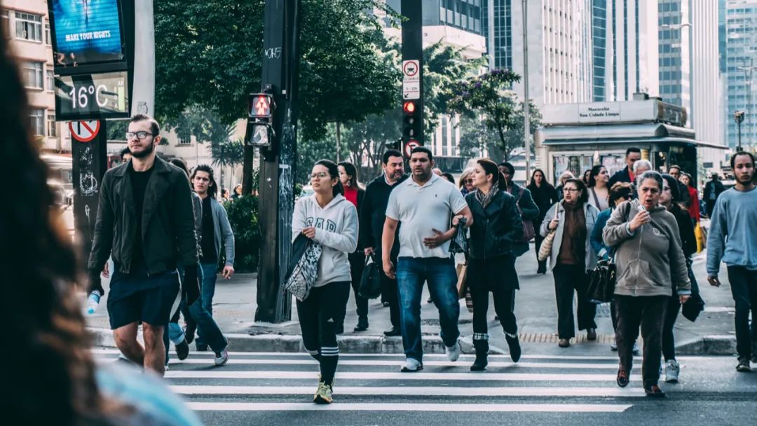 理解世界运行的底层逻辑 | 普利策奖得主戴蒙德，陈嘉映、梁文道等人力荐！