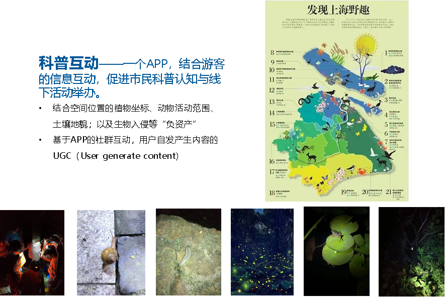上海智慧公园数字场景设计探讨(数话人民城市系列研究) 上海智慧公园数字场景设计探讨(数话人民城市系列研究)