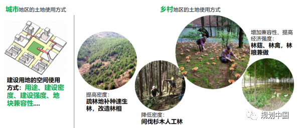 守住“保护-发展”双底线:贵州喀斯特贫困乡村地区的空间应对 守住“保护-发展”双底线:贵州喀斯特贫困乡村地区的空间应对