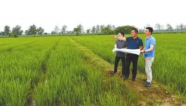 致敬“最美自然守护者”『我乐意当一名耕地守护者』︱记浙江省杭州市国土整治中心主任沈乐毅