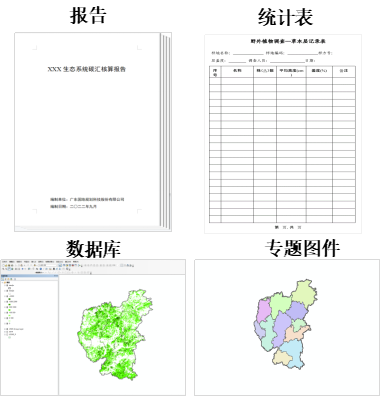 生态系统碳汇监测的概念、方法及应用