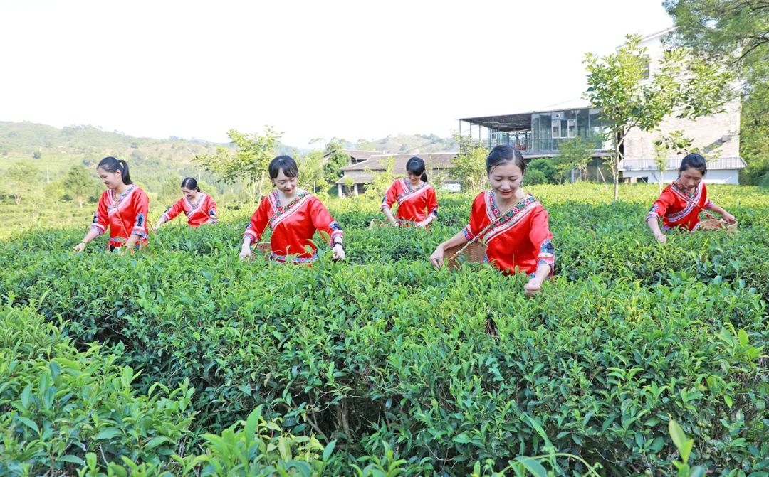 广西：推出首批10个生态产品价值实现典型案例