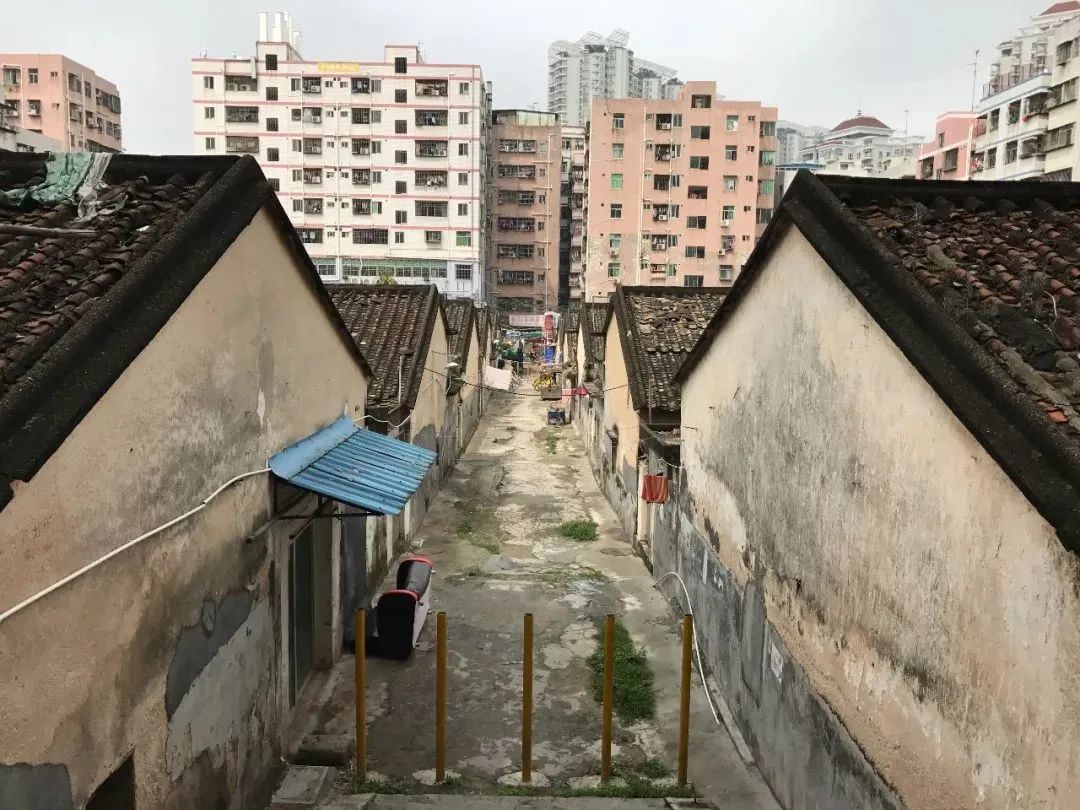 消失的白石洲，消失的深圳城中村一代人