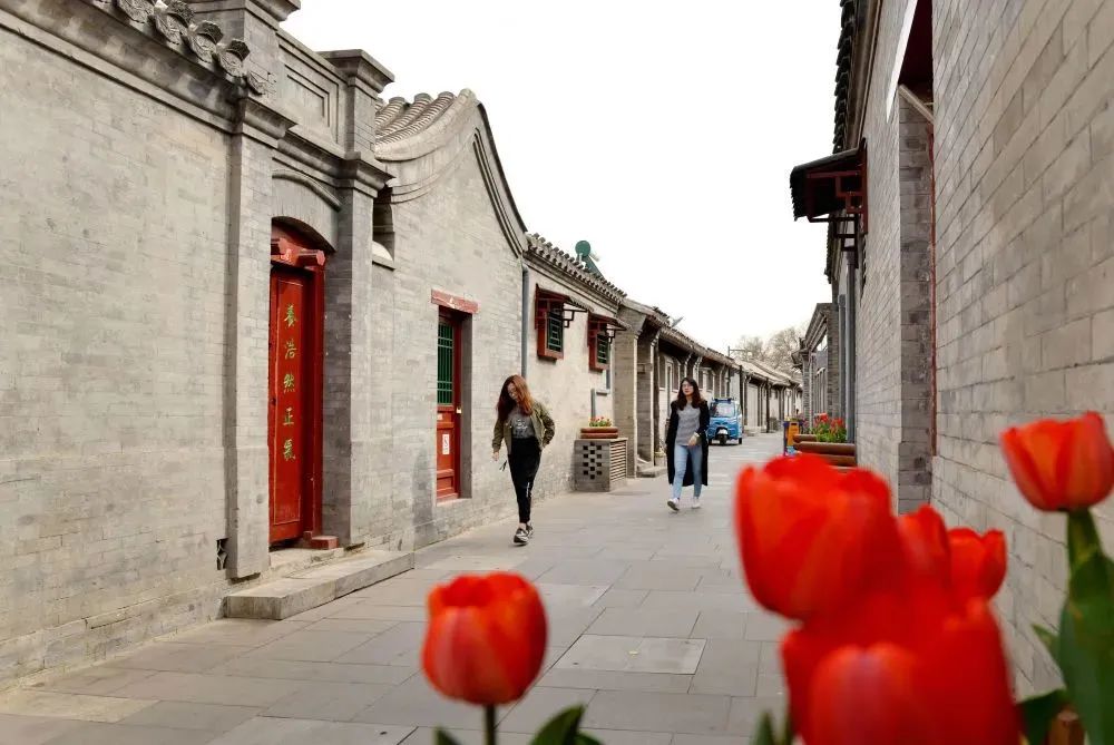 绣花功夫修护胡同,京华再现“老巷幽宅静树依” 绣花功夫修护胡同,京华再现“老巷幽宅静树依”