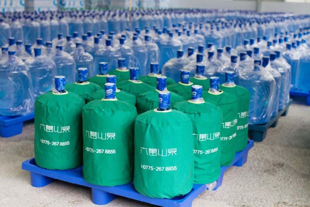 广西国有六万林场发展生态产业推动生态产品价值实现案例