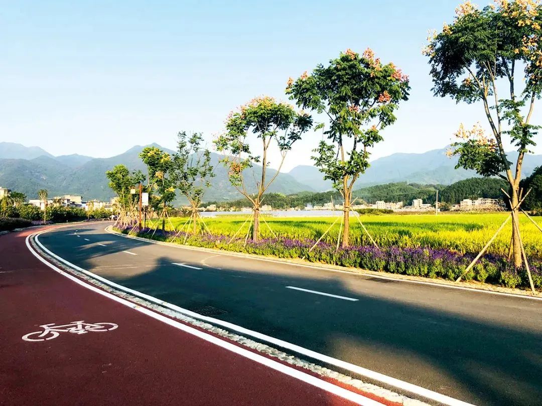 城市“双碳”目标与人民美好生活的关系思考 城市“双碳”目标与人民美好生活的关系思考