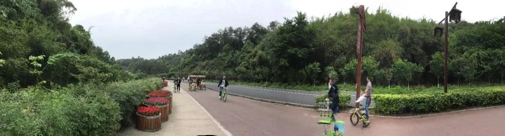 全球汇 · 专栏 | 生态城市（5）生态城市指标及实施途径案例②乐山生态城市实践