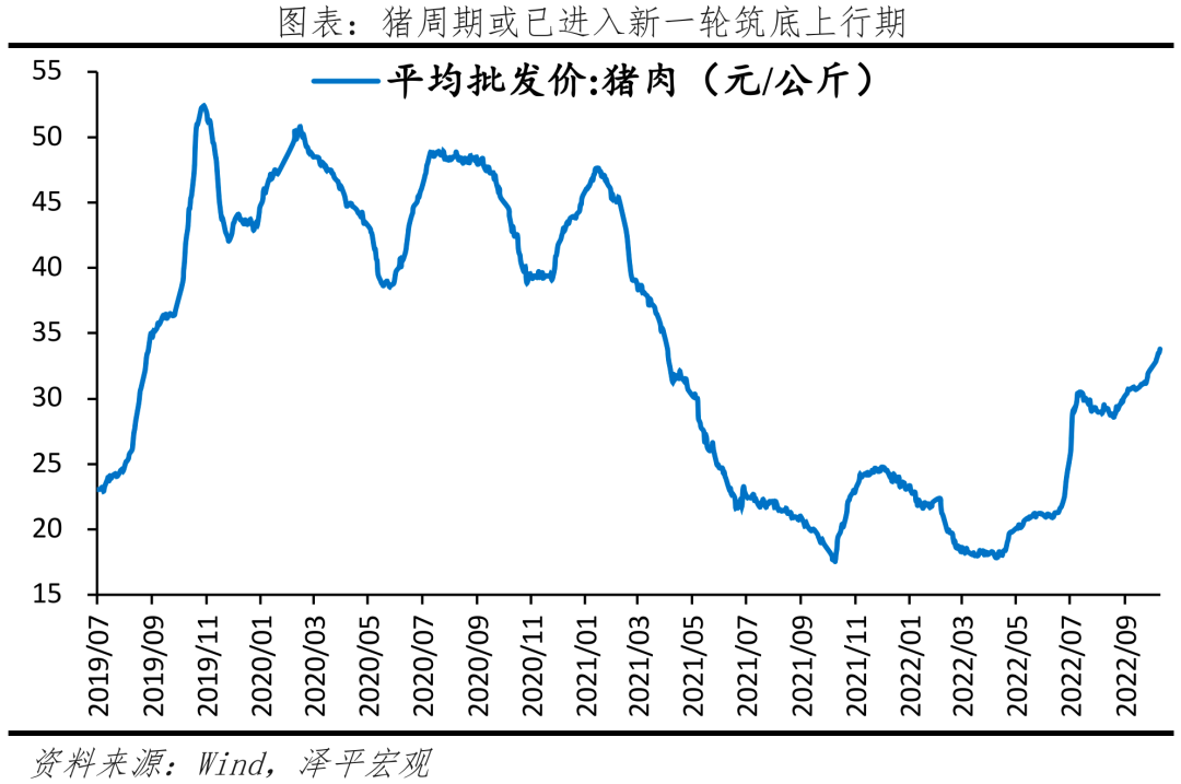 拿掉猪以后没有通胀——9月物价数据点评