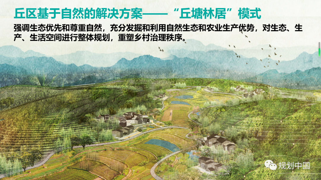 丘塘林居,丘区乡村基于自然的解决方案——以片区为单元的乡村国土空间规划探索 丘塘林居,丘区乡村基于自然的解决方案——以片区为单元的乡村国土空间规划探索