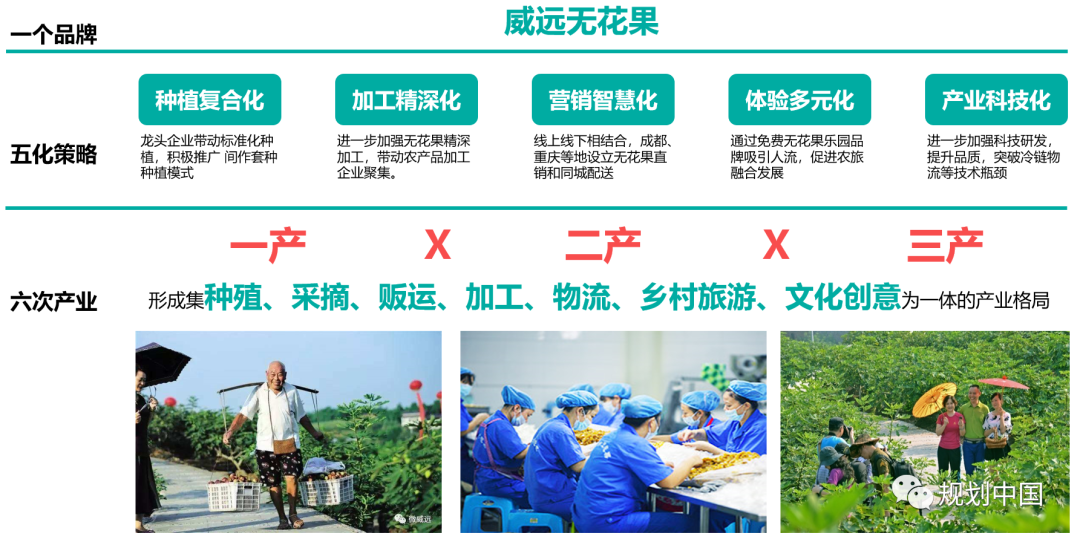 丘塘林居,丘区乡村基于自然的解决方案——以片区为单元的乡村国土空间规划探索 丘塘林居,丘区乡村基于自然的解决方案——以片区为单元的乡村国土空间规划探索