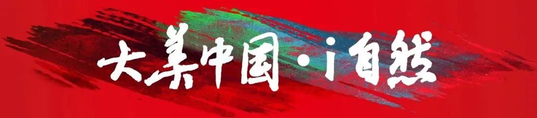 非法采矿损害后果严重，须承担惩罚性赔偿 | 以案说法