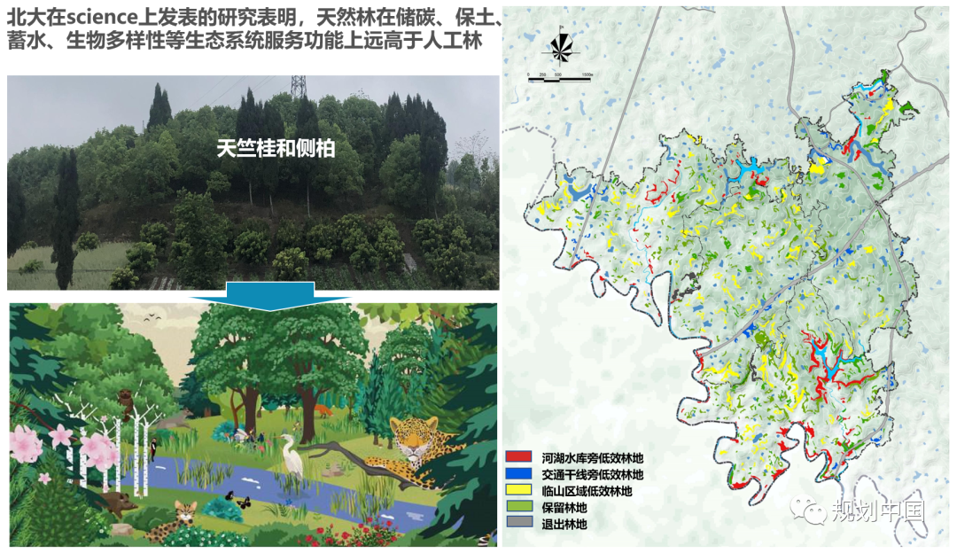丘塘林居,丘区乡村基于自然的解决方案——以片区为单元的乡村国土空间规划探索 丘塘林居,丘区乡村基于自然的解决方案——以片区为单元的乡村国土空间规划探索