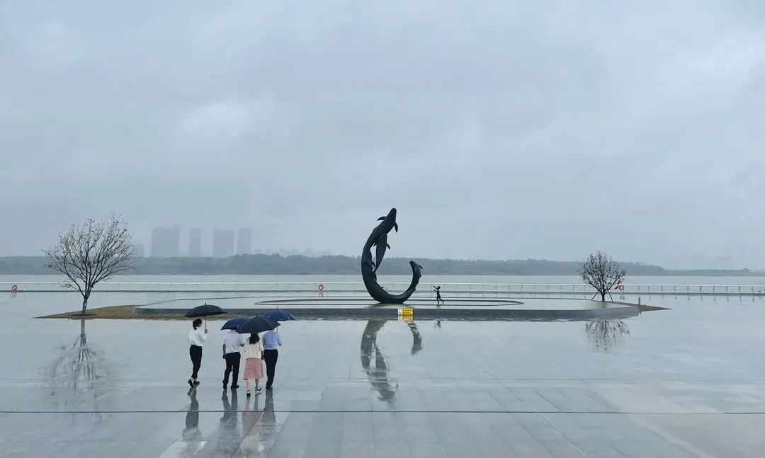 江河奔腾看中国|江苏:修护长江岸线,让人与江更近 江河奔腾看中国|江苏:修护长江岸线,让人与江更近