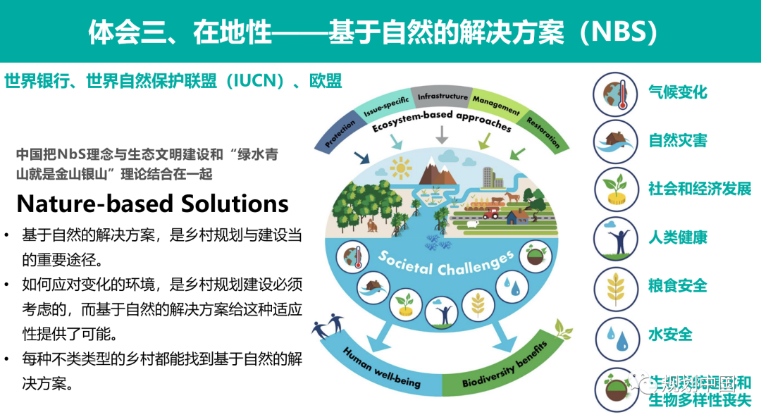 丘塘林居,丘区乡村基于自然的解决方案——以片区为单元的乡村国土空间规划探索 丘塘林居,丘区乡村基于自然的解决方案——以片区为单元的乡村国土空间规划探索