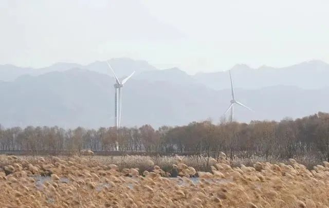 这5个湿地公园，拥有北京最美的秋水长天