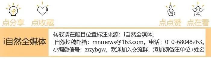 非法采矿损害后果严重,须承担惩罚性赔偿 | 以案说法 非法采矿损害后果严重,须承担惩罚性赔偿 | 以案说法