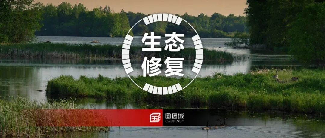 省级国土空间生态修复规划合集 省级国土空间生态修复规划合集