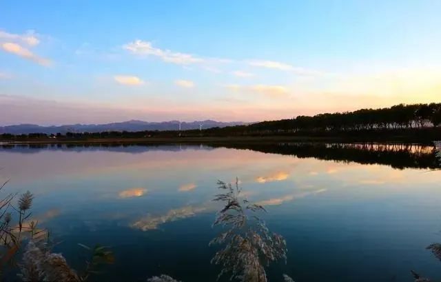 这5个湿地公园，拥有北京最美的秋水长天