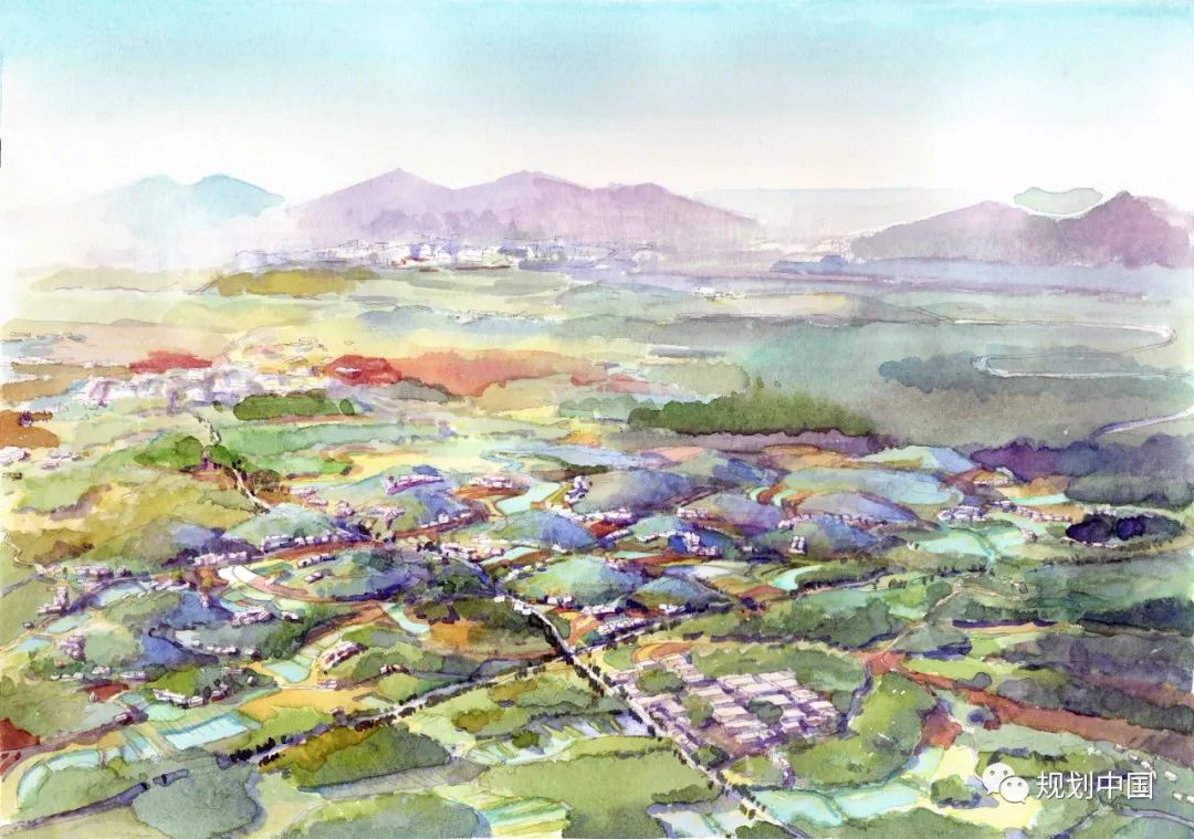 丘塘林居，丘区乡村基于自然的解决方案——以片区为单元的乡村国土空间规划探索