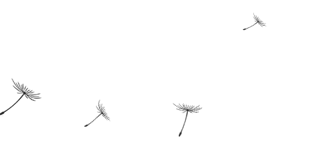陈雪明 | 美国交通技术在适老交通中的应用