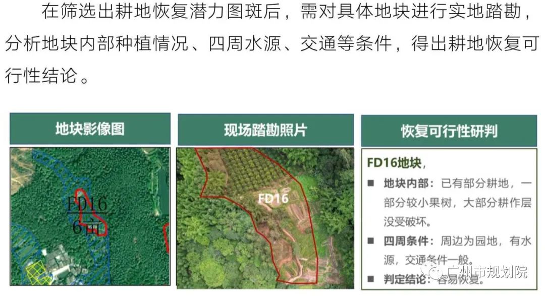 从“占补平衡”到“进出平衡”——采取长牙齿硬措施，严格耕地用途管制