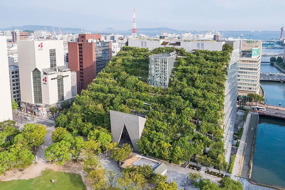 我们的新时代③|探索编制全国首个超大城市绿色建筑发展专项规划 我们的新时代③|探索编制全国首个超大城市绿色建筑发展专项规划