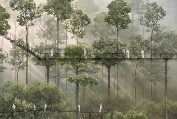 规划实践与绿色生态低碳研究