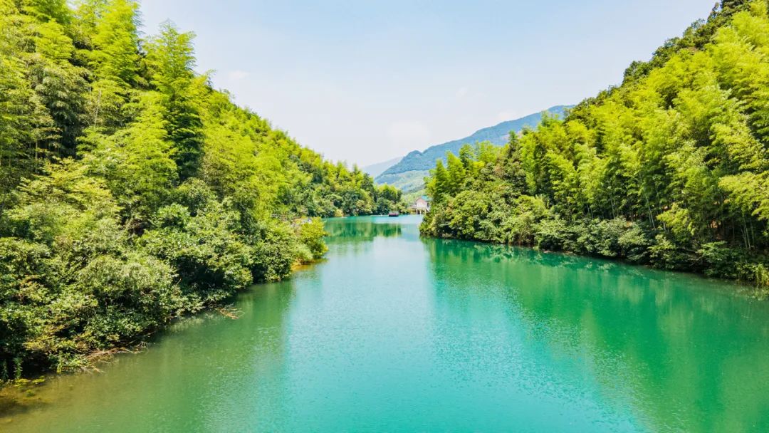 这里,一场通向未来的乡村实验正在进行中 这里,一场通向未来的乡村实验正在进行中
