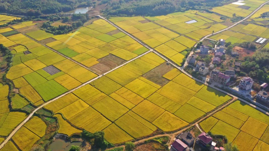 加快耕地资源质量分类成果转化应用 | 学思践悟