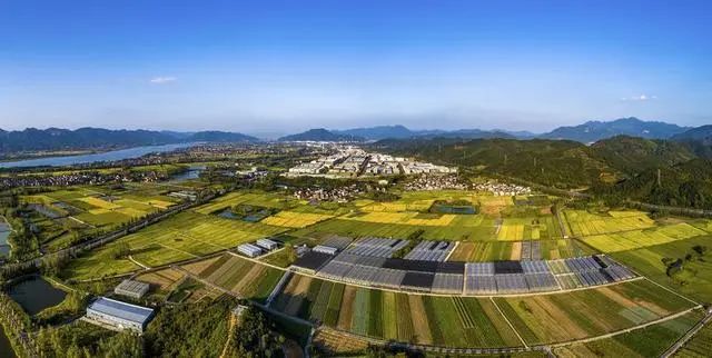 牢记国之大者 端牢中国饭碗︱杭州高质量构建耕地保护新格局（四）：守牢红线有“粮方”
