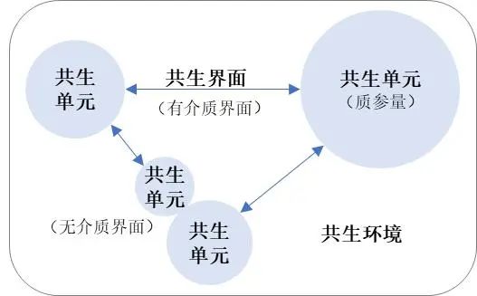 乡村振兴|基于共生理论的广州市乡村群发展策略研究 乡村振兴|基于共生理论的广州市乡村群发展策略研究