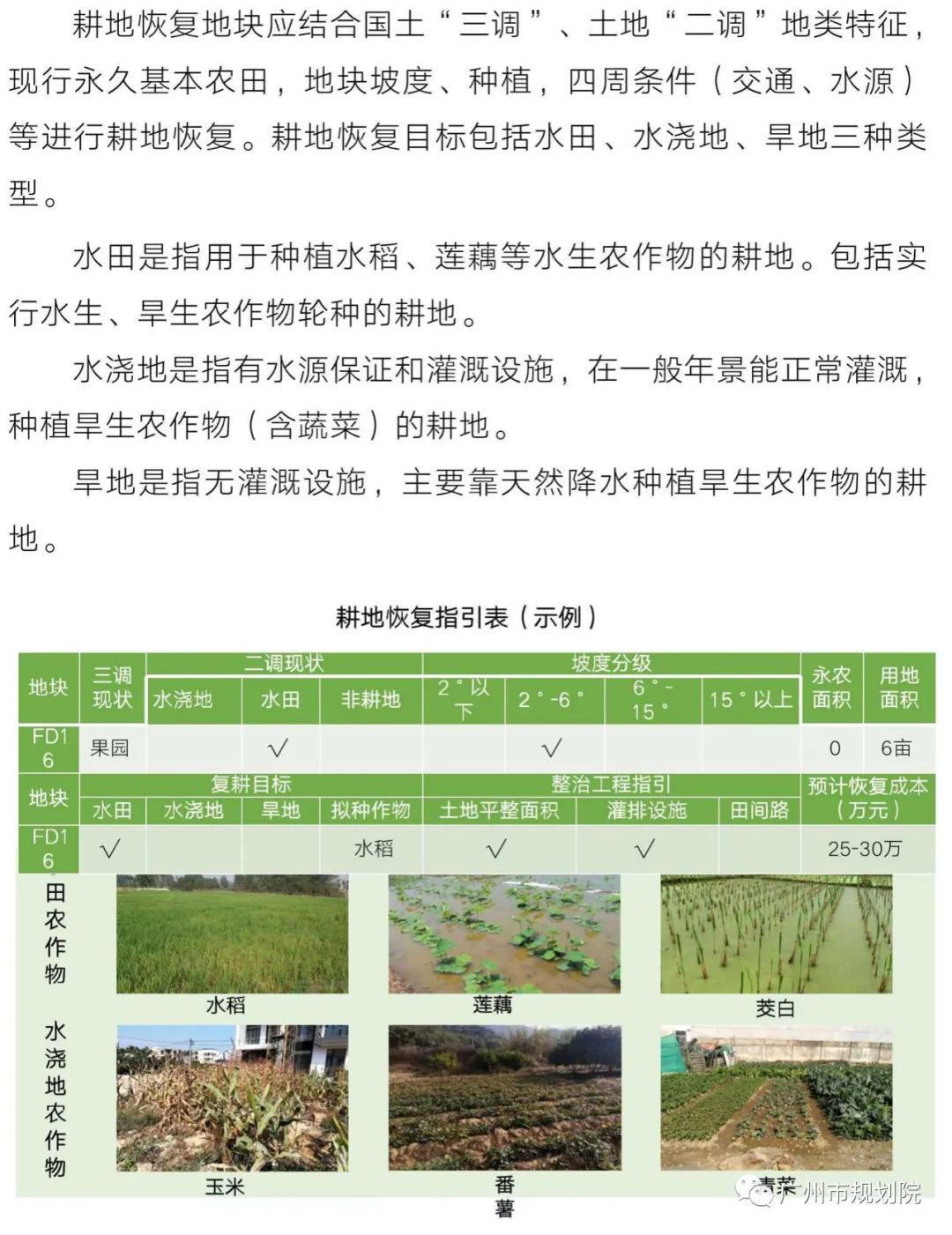 从“占补平衡”到“进出平衡”——采取长牙齿硬措施，严格耕地用途管制