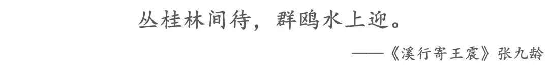 飞鸟绿洲,返“埔”归真——黄埔区丛·榕园设计解读 飞鸟绿洲,返“埔”归真——黄埔区丛·榕园设计解读