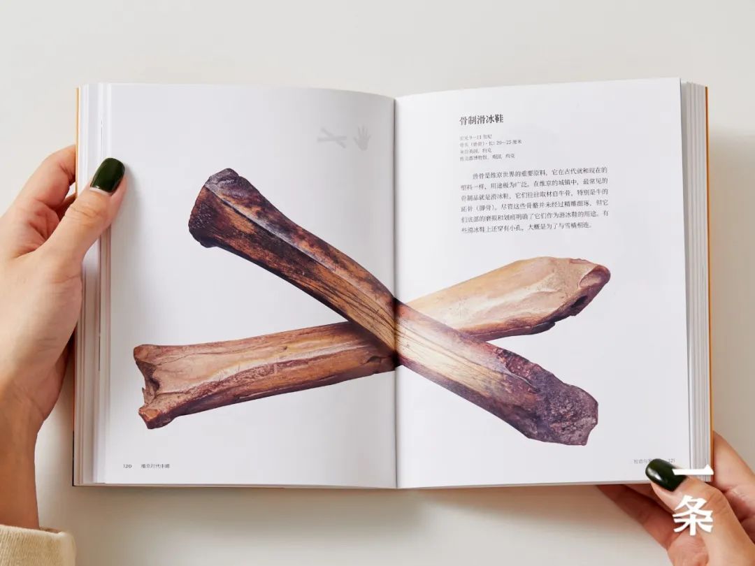 用一套书将古代珍宝装进“口袋”,足不出户,看遍全球博物馆! 用一套书将古代珍宝装进“口袋”,足不出户,看遍全球博物馆!
