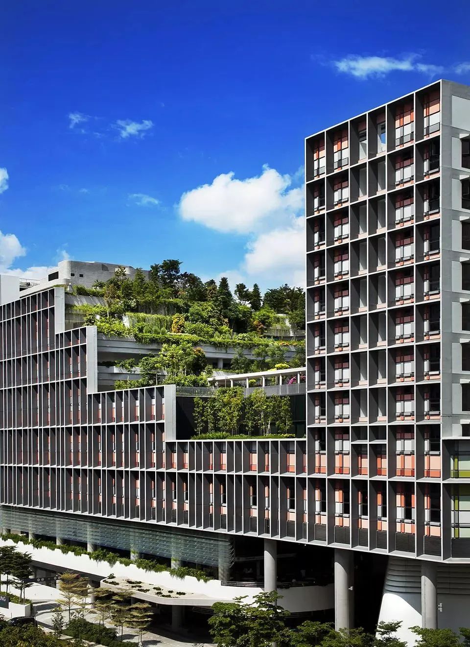 我们的新时代③|探索编制全国首个超大城市绿色建筑发展专项规划 我们的新时代③|探索编制全国首个超大城市绿色建筑发展专项规划