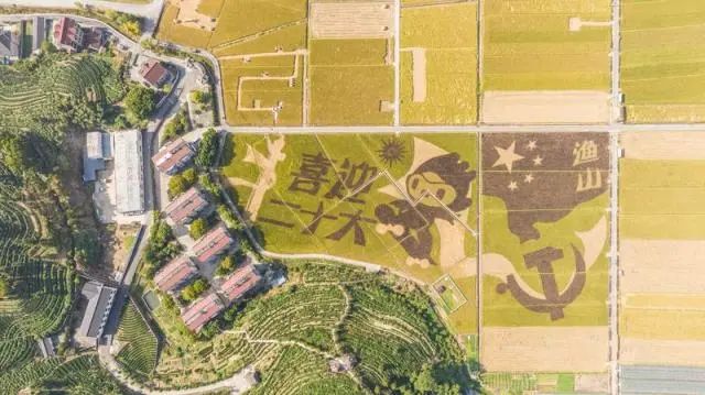 牢记国之大者 端牢中国饭碗︱杭州高质量构建耕地保护新格局（四）：守牢红线有“粮方”
