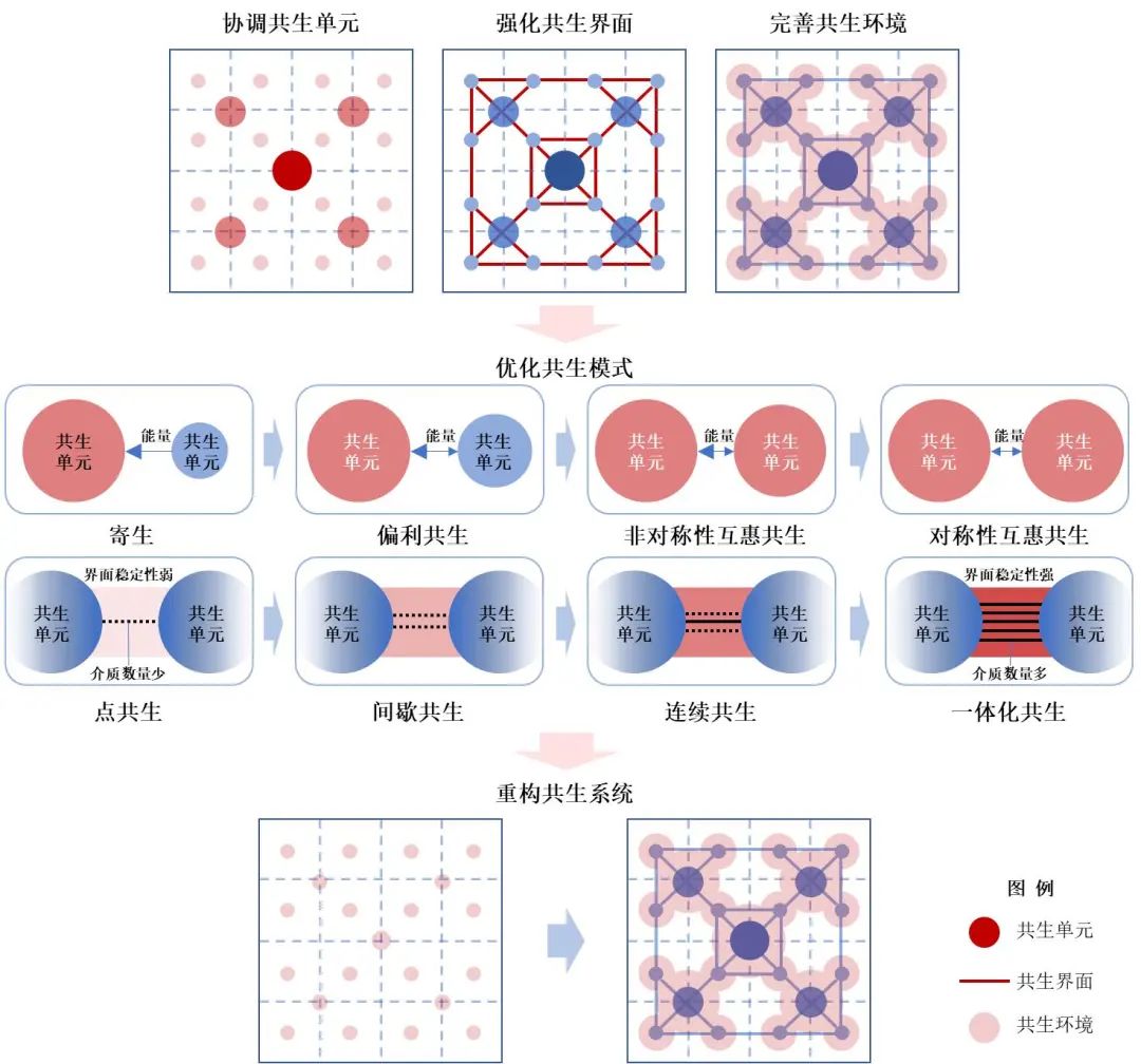 乡村振兴|基于共生理论的广州市乡村群发展策略研究 乡村振兴|基于共生理论的广州市乡村群发展策略研究