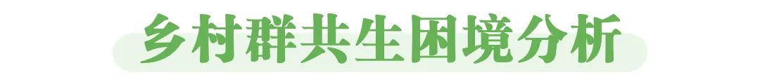 乡村振兴|基于共生理论的广州市乡村群发展策略研究 乡村振兴|基于共生理论的广州市乡村群发展策略研究