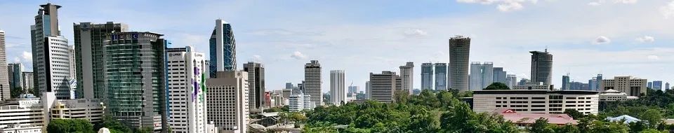 基于后发优势理论的城市新区发展路径 基于后发优势理论的城市新区发展路径