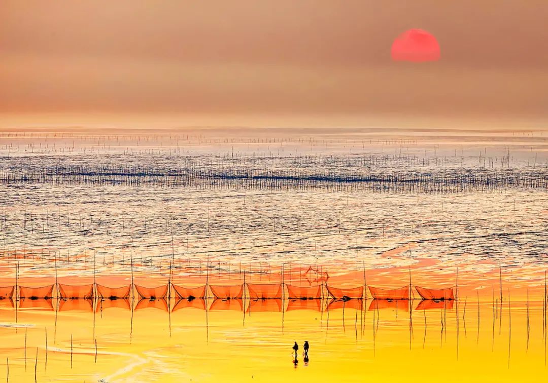 黄海湿地野鹿荡 | 大美中国·i自然