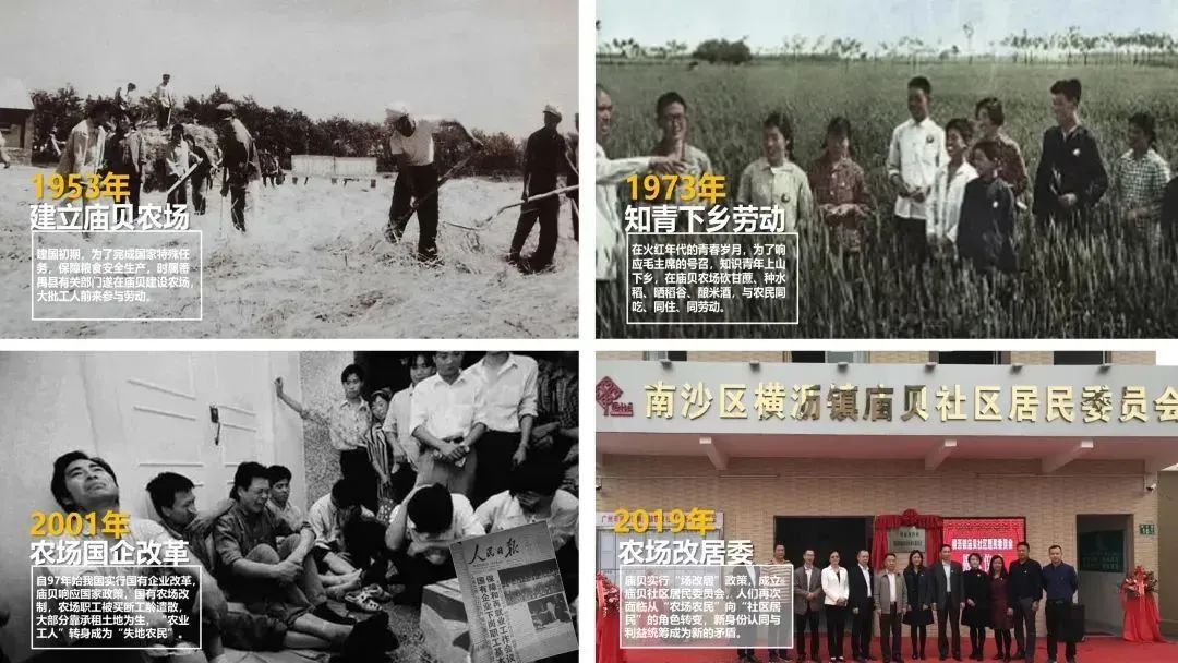 让陈年老酒飘香了时光，南沙庙贝酒厂改造的社区设计师行动｜南沙社区设计师
