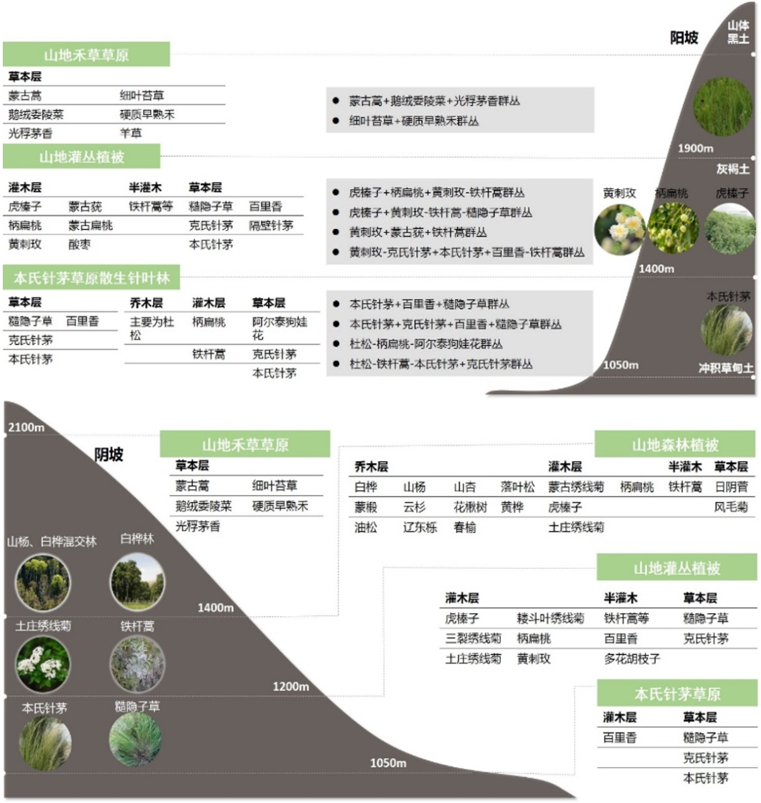 规划实践与绿色生态低碳研究