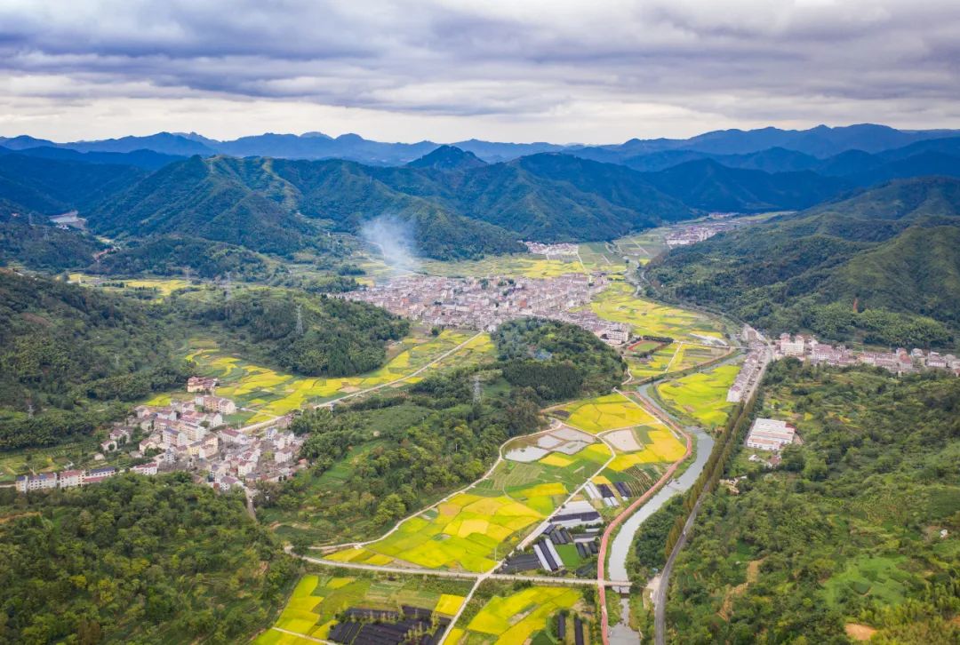 孙施文｜国土空间规划知识体系建构与运用