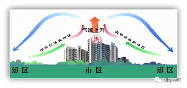 中国工程院院士王浩：城市洪涝综合治理要从流域层面统筹规划
