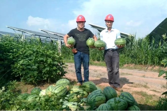 乡村振兴|乡村新能源融合发展的案例与借鉴 乡村振兴|乡村新能源融合发展的案例与借鉴