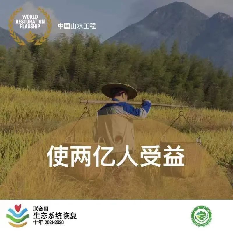 “中国山水工程”获评“世界生态恢复十年旗舰项目”