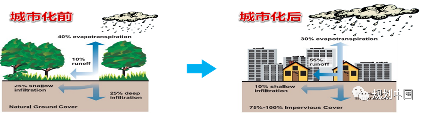 中国工程院院士王浩：城市洪涝综合治理要从流域层面统筹规划