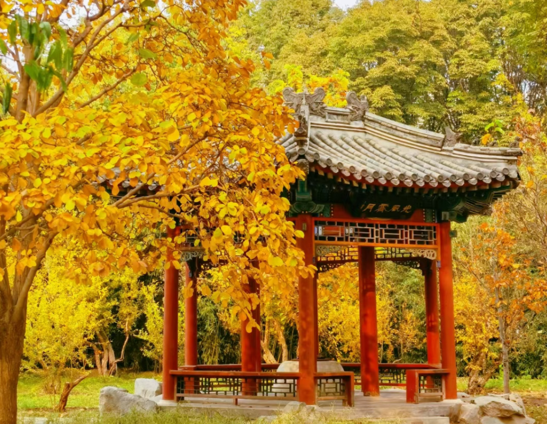 否极泰来,全力拼经济——对当前形势的几点判断 否极泰来,全力拼经济——对当前形势的几点判断